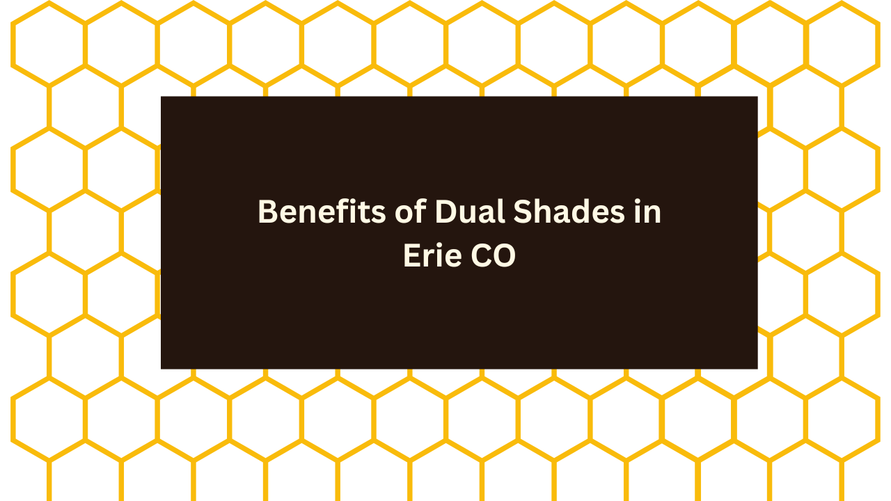 Benefits of Dual Shades in Erie CO